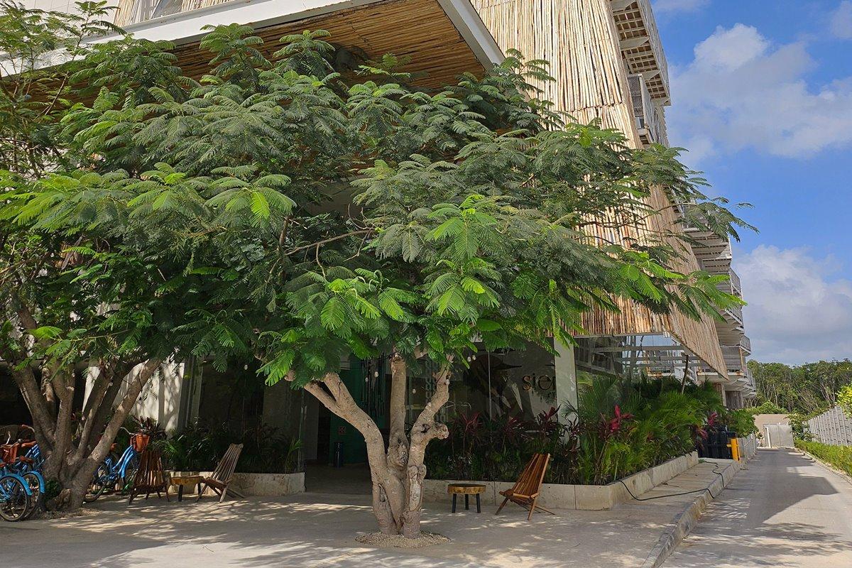 Hotel MX tulum Exterior foto